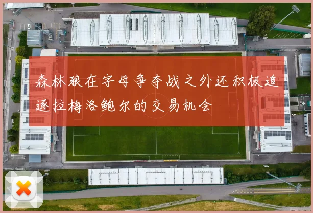 森林狼在字母争夺战之外还积极追逐拉梅洛鲍尔的交易机会