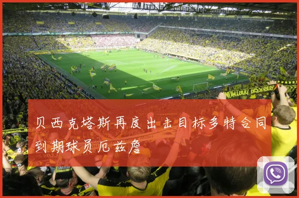贝西克塔斯再度出击目标多特合同到期球员厄兹詹